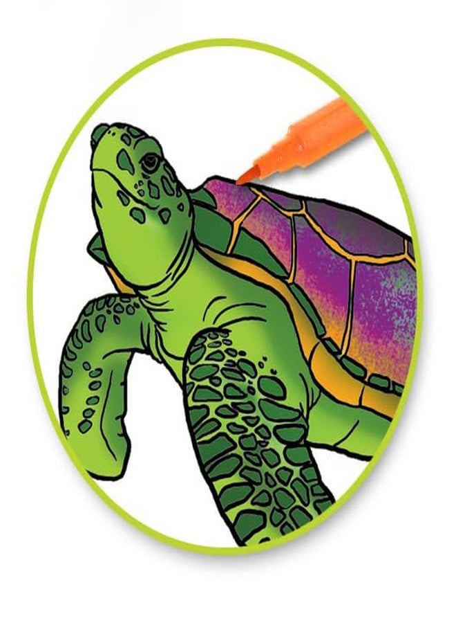 AoneFun Coloring Markers No Bleed - Fine Line Adult Markers Fine Tip Thin for Coloring Books Felt Tip Pens No Bleeding Non Bleeding for Journal Pack of 12 Assorted Colors - Image 3