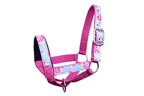 Paris Tack Derby Originals Patterned Double Layer Nylon Figure-8 Cow Halters and Sizes - Image 2