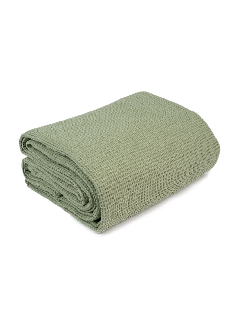 Home of linens مفرش سرير قطن فستق 230x250  - Image 1