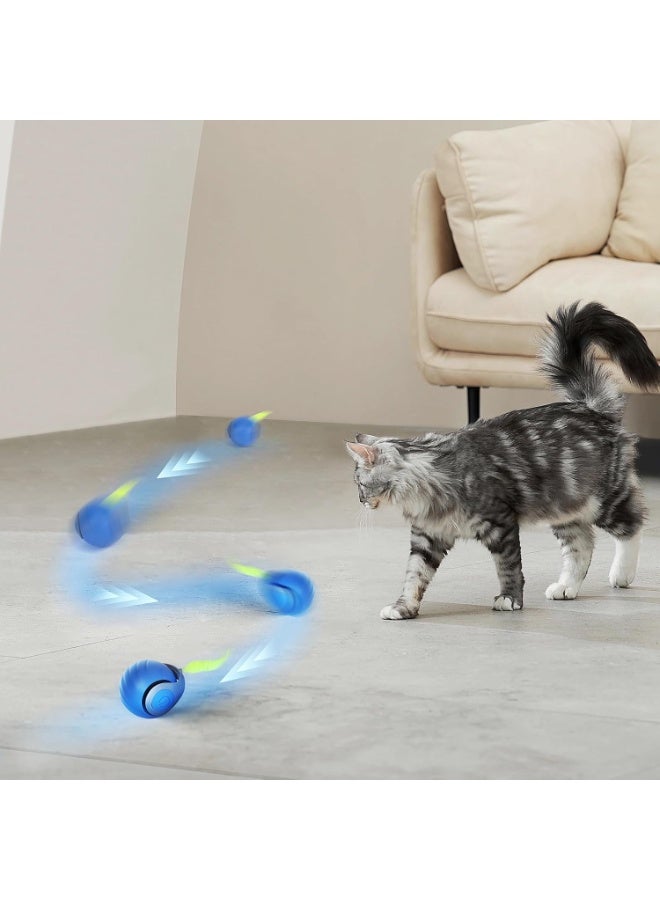 🎾 Speedy Tail Interactive Cat Toy – Auto-Rolling Adjustable Smart Ball for Indoor Cats - Image 5