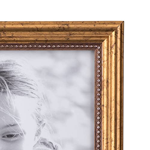 Malden إطار صور خشبي كلاسيكي من مالدن إنترناشيونال ديزاينز، 8x10، ذهبي - Image 3