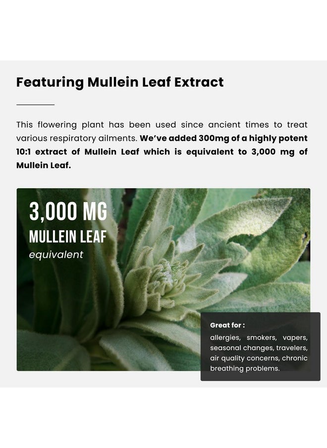 NutraChamps - Lung Detox & Cleanse | Mullein Leaf Capsules | 15-In-1 Lung Health Formula for Respiratory, Immune & Mucus Support | 10:1 Mullein Leaf Extract (3000mg Equivalent) | Vegan Lung Support Supplement - Image 1
