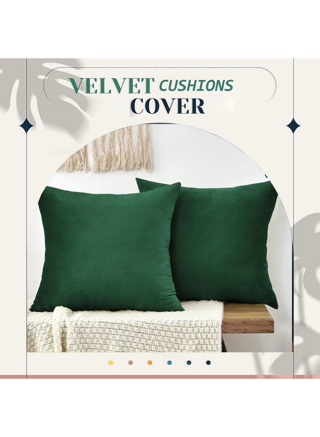 IVAZA IVAZA Velvet Decorative Cushion Cover 16x16 Inch - Set of 5, Soft Solid Square Throw Pillow Covers for Sofa, Living Room or Home Decor - 40x40cm Emerd Green - Image 4