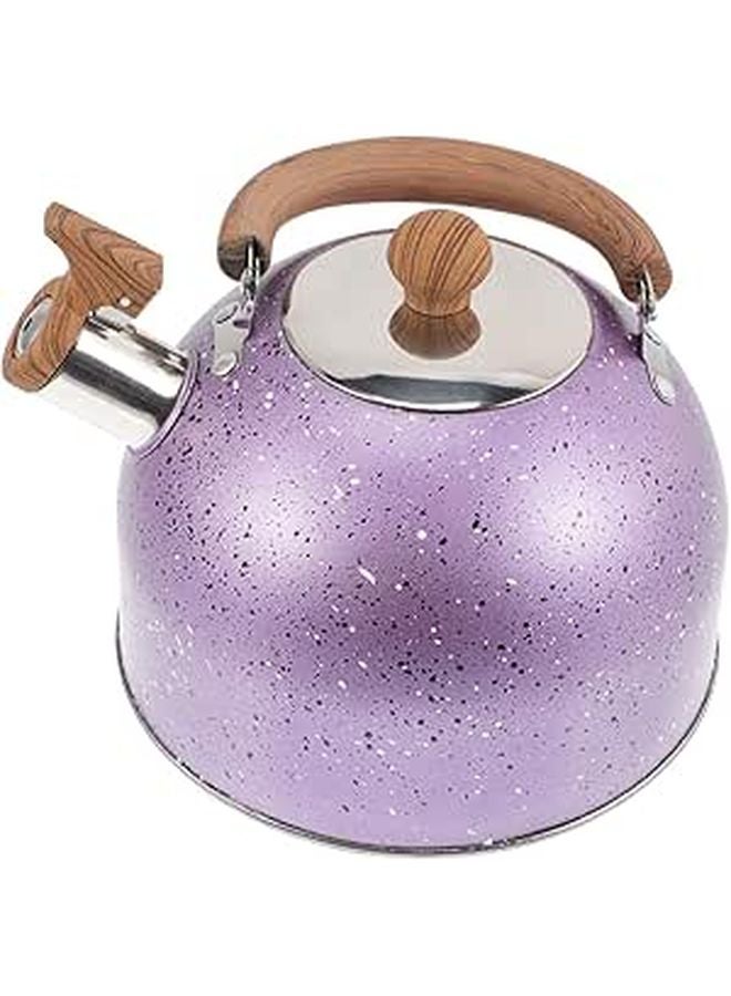 Stainless Steel Whistling Tea Kettle With Wooden Handle And Safety Whistle - Image 1