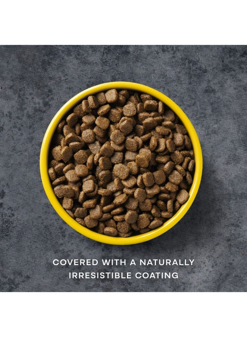 AATU Free Run Turkey Dry Dog Food - Image 3
