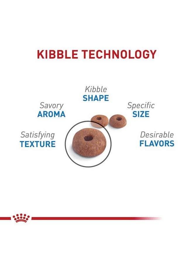 رويال كانين طعام القطط الجافة للقطط البالغة من رويال كانين فيلين كير نيوتريشن وييت كير، كيس 3 رطل - Image 5