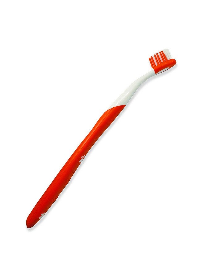 Nylabone 3 Pack of Advanced Oral Care Cat Dental Kits - Image 4