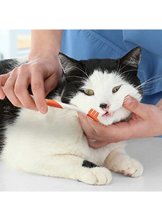 Nylabone 3 Pack of Advanced Oral Care Cat Dental Kits - Image 5