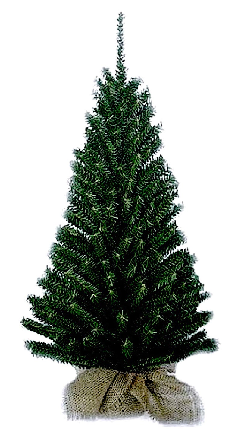 Kurt Adler 24 Miniature Pine Christmas Tree