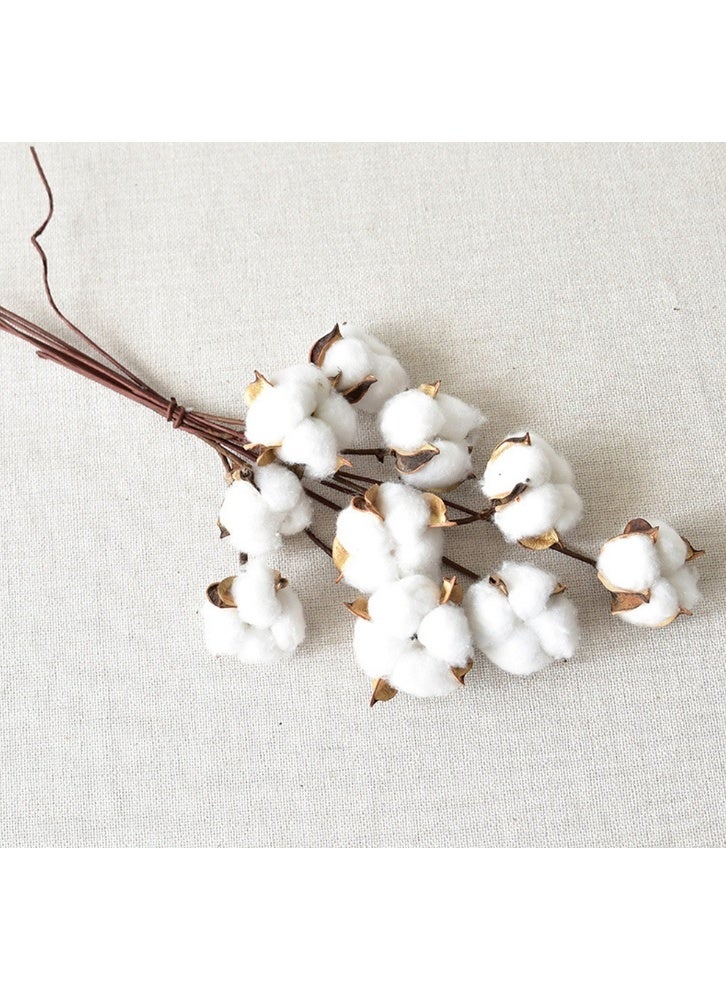 OASIS-TH 10PCS Cotton Stems Decor Branches，Natural Cotton Floral Plant Stick，for Farmhouse Home Table Vase Filler Party DIY Wreath Decor - Image 2