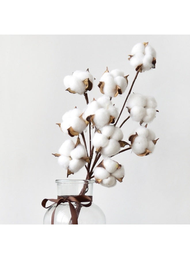 OASIS-TH 10PCS Cotton Stems Decor Branches，Natural Cotton Floral Plant Stick，for Farmhouse Home Table Vase Filler Party DIY Wreath Decor - Image 1