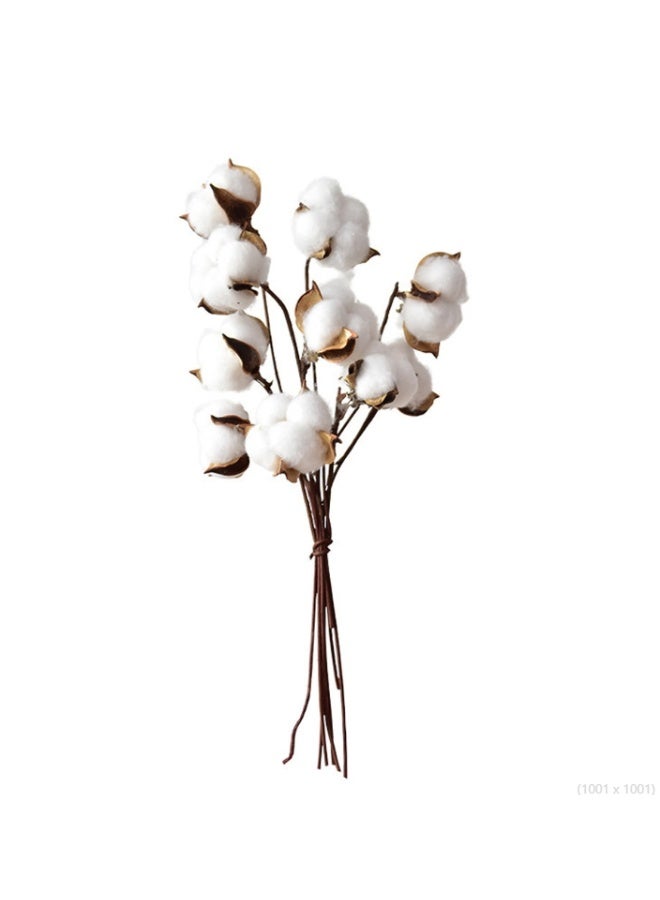 OASIS-TH 10PCS Cotton Stems Decor Branches，Natural Cotton Floral Plant Stick，for Farmhouse Home Table Vase Filler Party DIY Wreath Decor - Image 3
