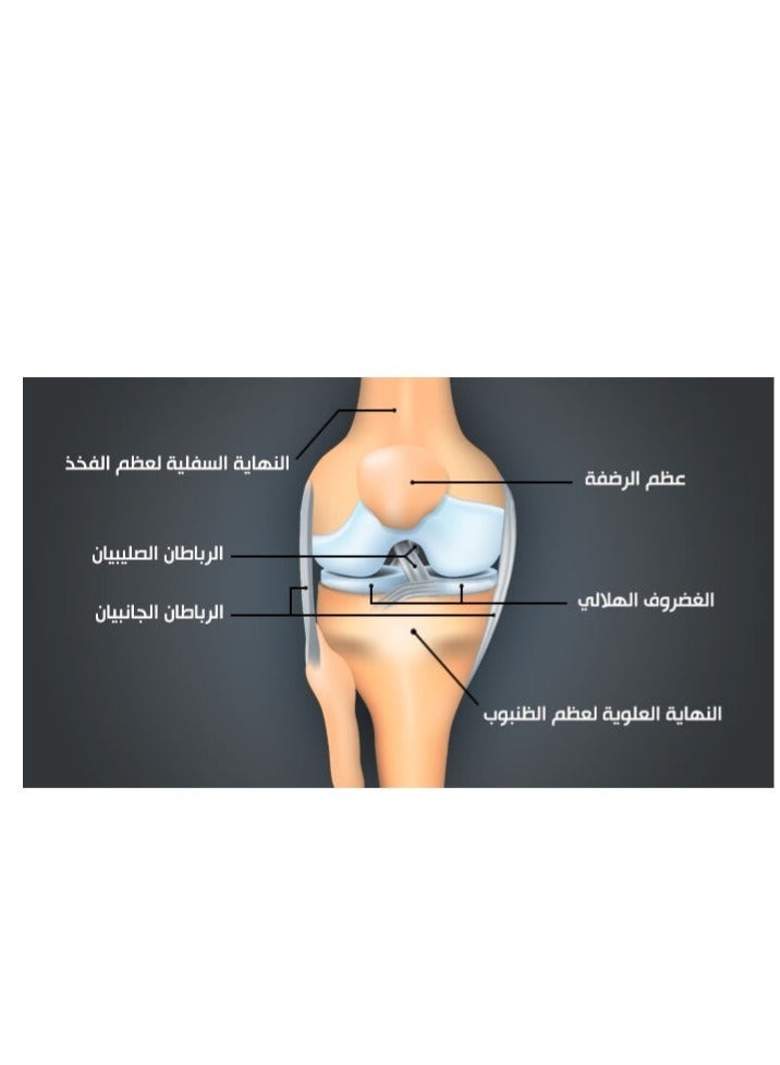 دورق زيت المفاصل 500مل - Image 4
