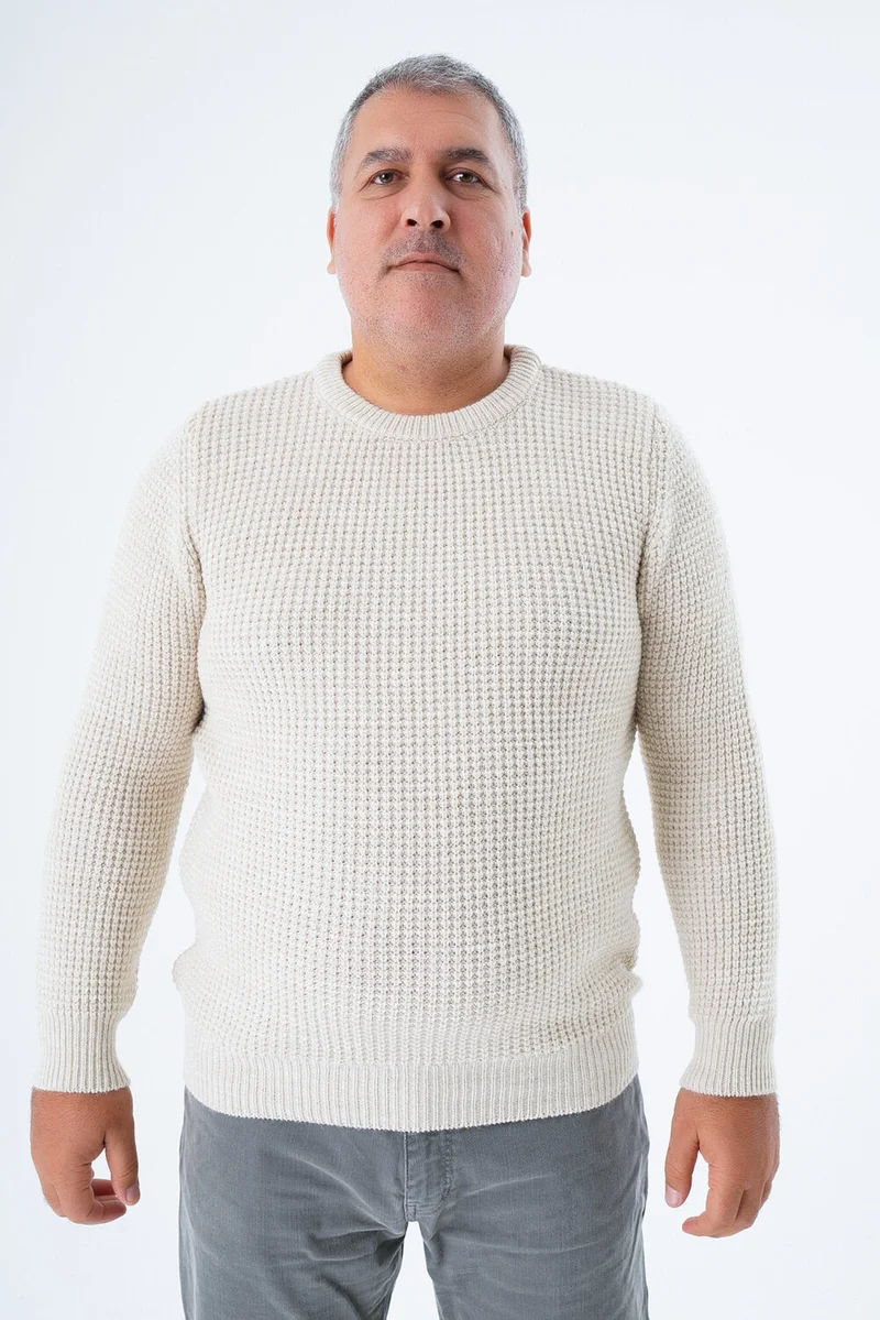 Trist Star Large Size Men's Beige Selanik Knitted Crew Neck Knitwear Wool Sweater TRIST-2116