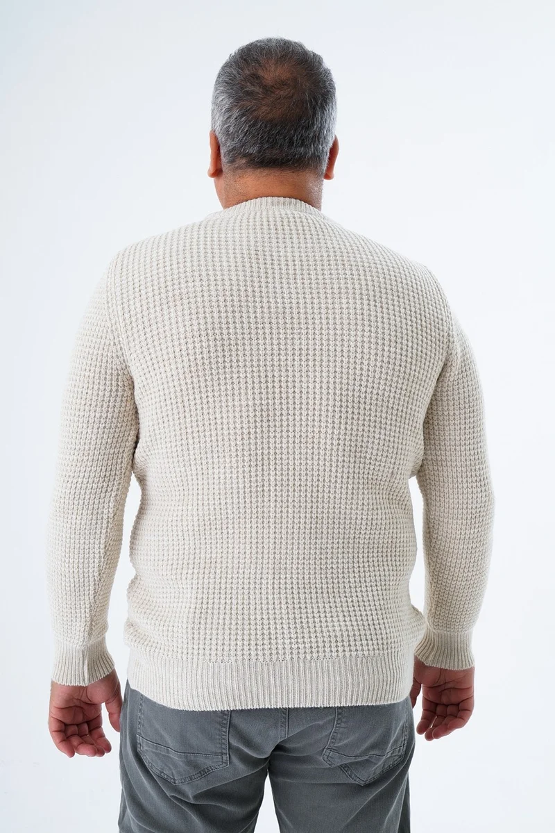 Trist Star Large Size Men's Beige Selanik Knitted Crew Neck Knitwear Wool Sweater TRIST-2116