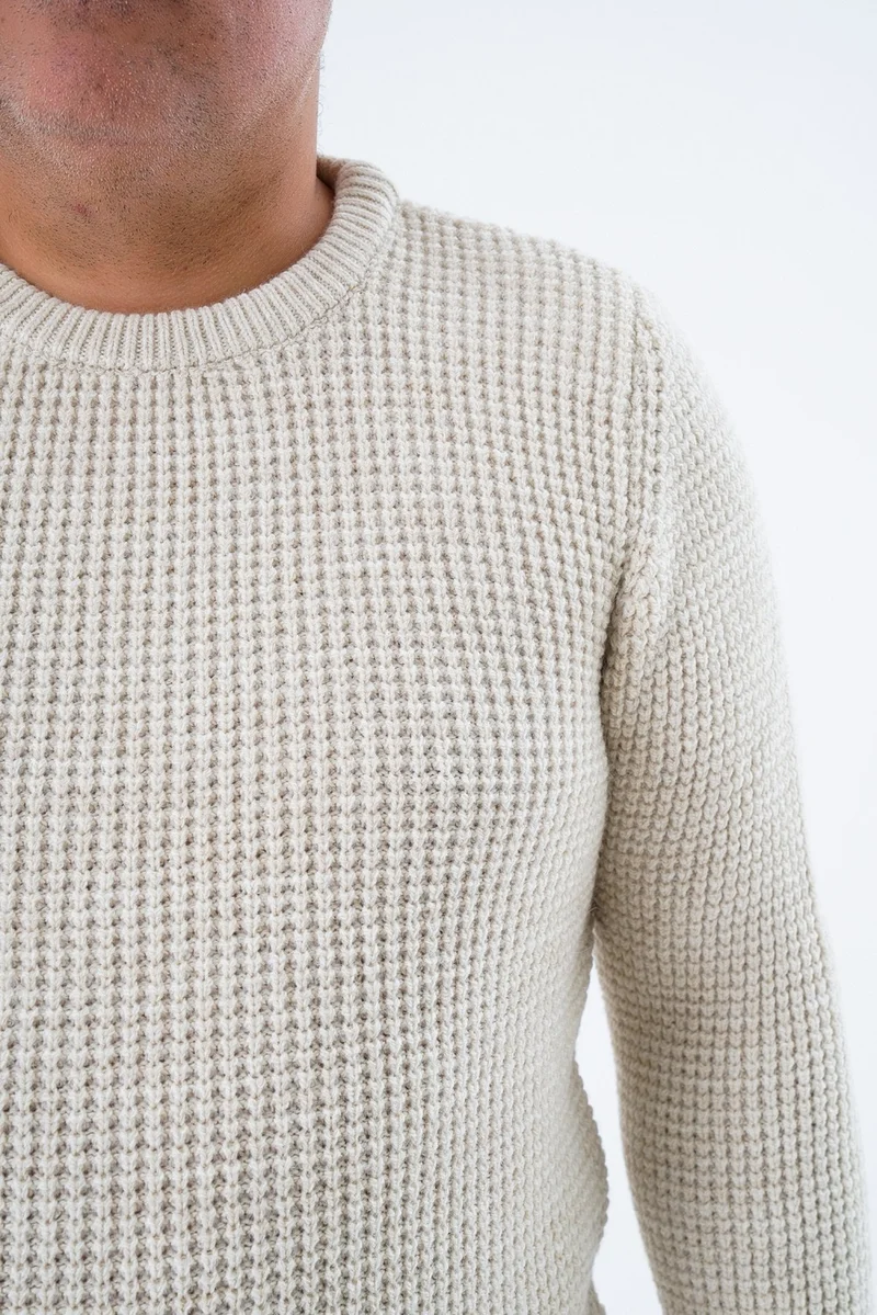 Trist Star Large Size Men's Beige Selanik Knitted Crew Neck Knitwear Wool Sweater TRIST-2116