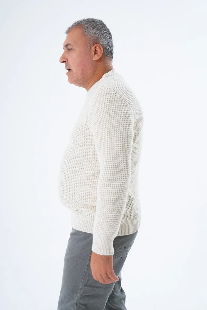 Trist Star Large Size Men's Beige Selanik Knitted Crew Neck Knitwear Wool Sweater TRIST-2116