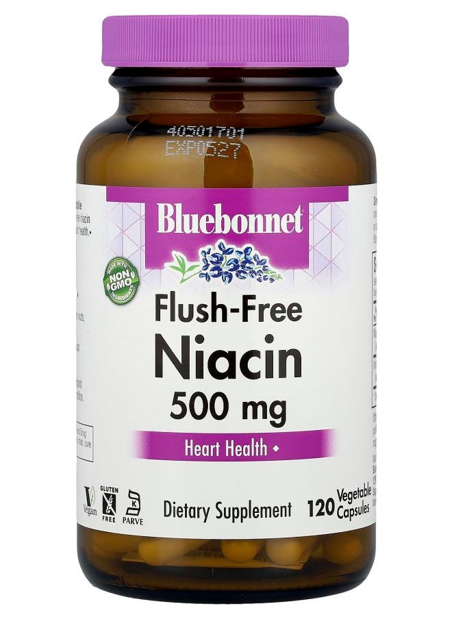 Bluebonnet Nutrition Flush-Free Niacin 120 Vegetable Capsules  - Image 1