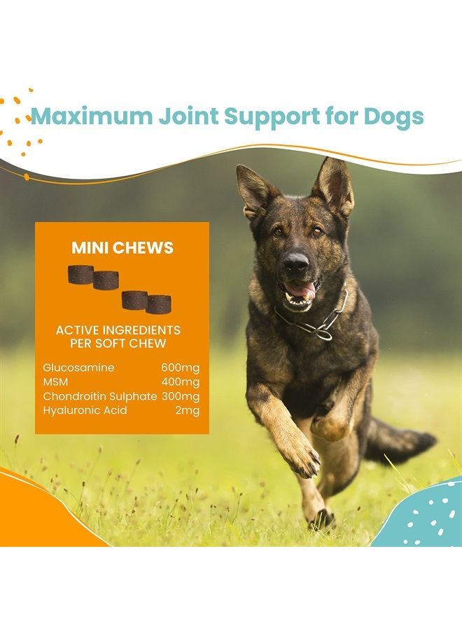 nootie Glucosamine for Dogs - 250 ct - Hip and Joint Soft Chews Supplement for Dogs - Daily Dog MSM Chondroitin Chews with Turmeric - Joint Care Vitamins for All Breeds and Sizes USA