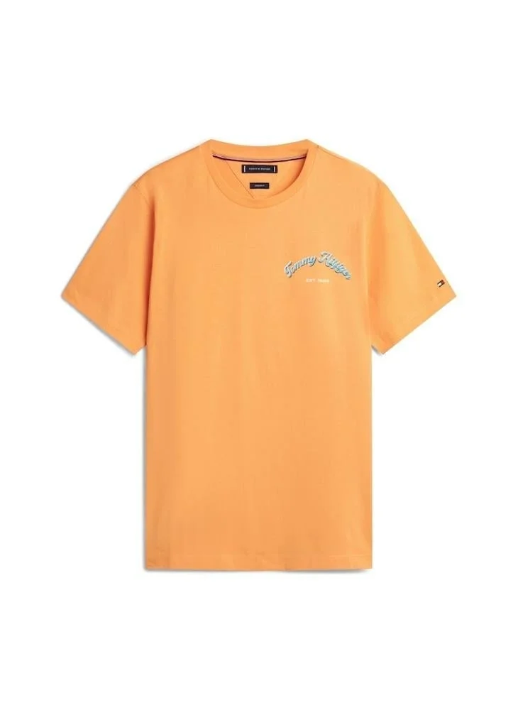 Tommy Hilfiger  Graphic Crew Neck T-Shirt for Men | Best Price UAE