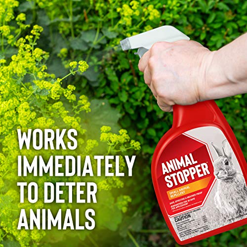 Deer Stopper Animal Stopper Liquid Animal Stopper Repellent All Natural Effective All Year Round Safe for People and Pets No Harsh Chemicals Garden Animal Repellent Ready to Use - 32 oz Trigger - Image 3