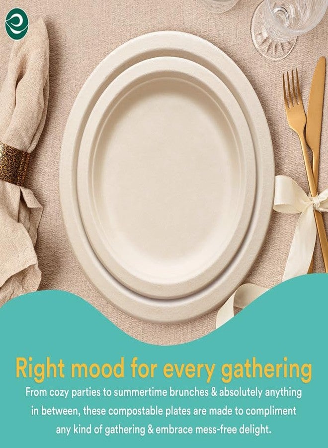 ECO SOUL Compostable 9 Inch Biodegradable Disposable Paper Plates | Eco-Friendly Dinner, Party, Wedding, Event - Image 5