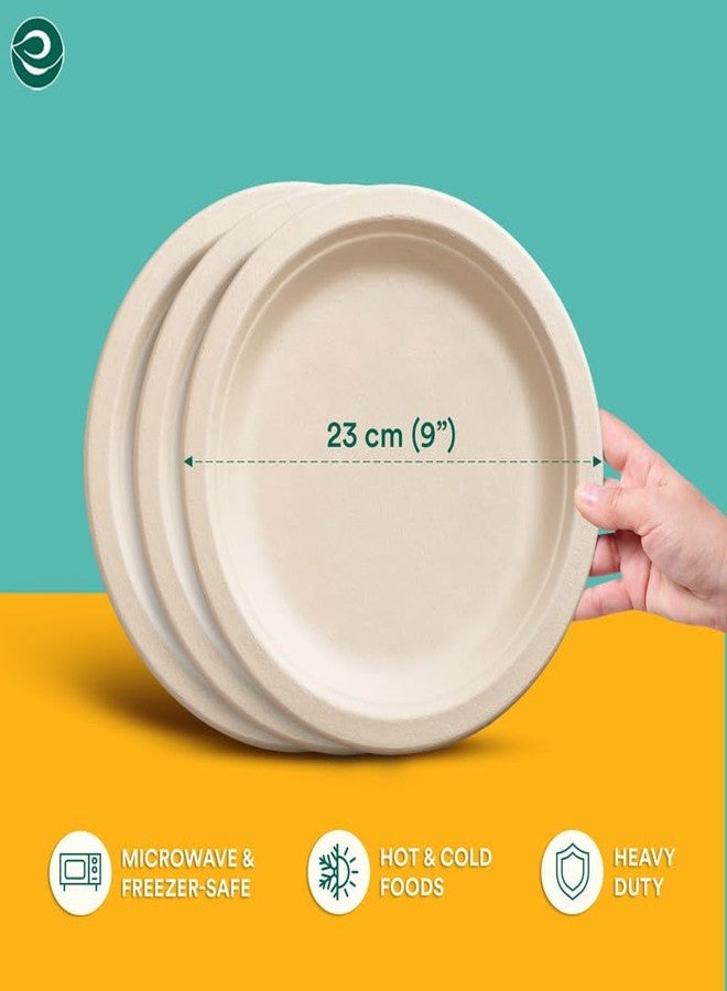 ECO SOUL Compostable 9 Inch Biodegradable Disposable Paper Plates | Eco-Friendly Dinner, Party, Wedding, Event - Image 2