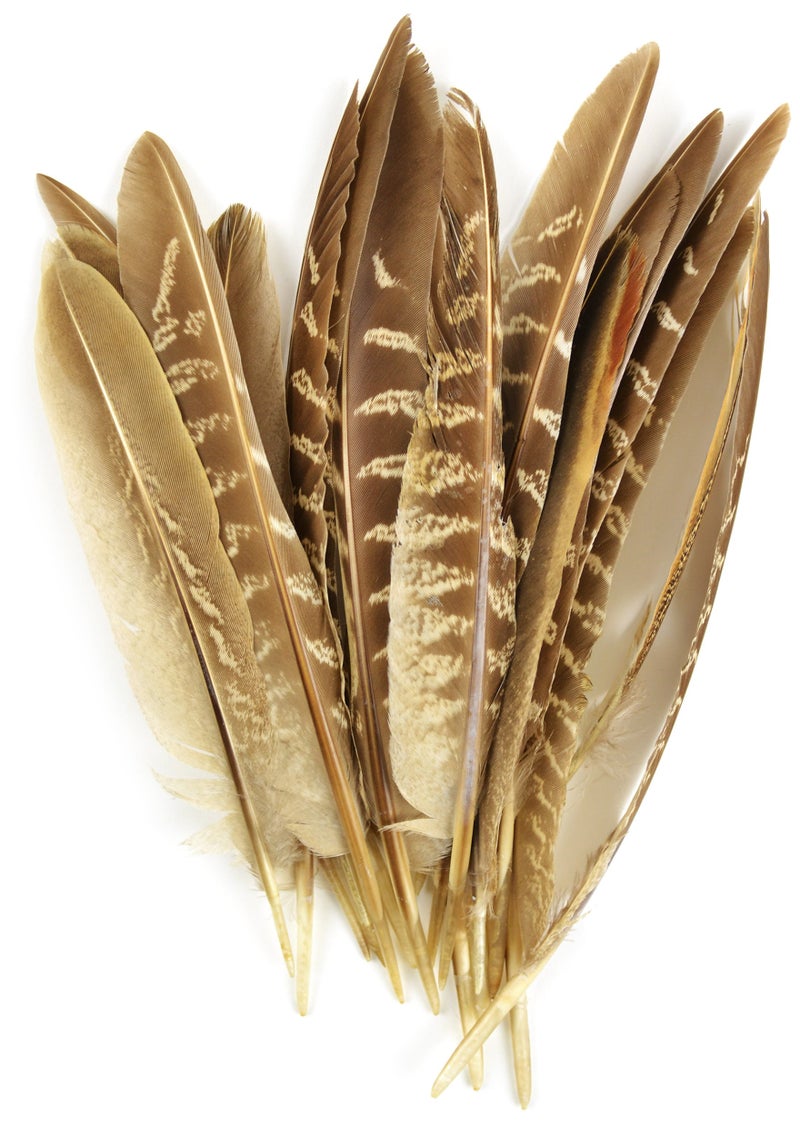 Touch of Nature 38192 Pheasant Wing Quill, 7-Inch - Image 2