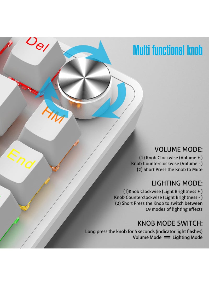 ROCK POW 70% PC Gaming Keyboard, 82 Keys Mechanical Keyboard with RGB Backlit 19 Modes,Volume Lighting Knob, Wired Mini PBT Keycaps for PC Gaming and Working (Red Switch) - Image 3