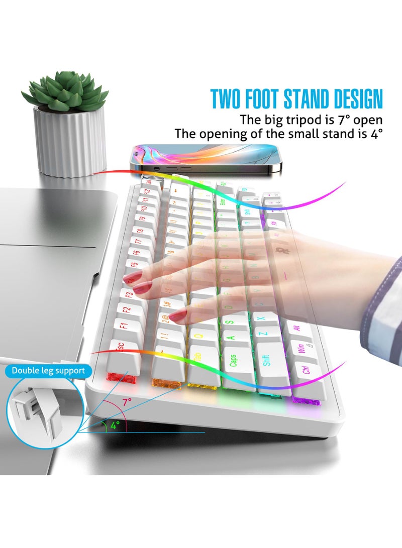 ROCK POW 70% PC Gaming Keyboard, 82 Keys Mechanical Keyboard with RGB Backlit 19 Modes,Volume Lighting Knob, Wired Mini PBT Keycaps for PC Gaming and Working (Red Switch) - Image 5