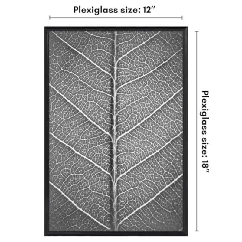 إطار ملصق مقاس 12 × 18 مع غطاء أمامي مصقول - إطار صورة منزلق للداخل مع قالب قابل للبناء - مجموعة فيوجن - إطارات صور لعرض الحائط - أسود - Image 2
