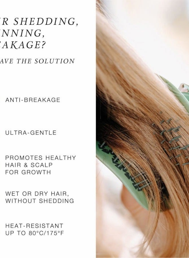 Manta Anti Breakage Hair Brush, Gentle Wet & Dry Hair Detangler Hairbrush for All Hair Types, Soft Scalp Shower Hair Brush, Promote Healthy Hair Growth, Hairbrushes for Women Men, White - Image 3