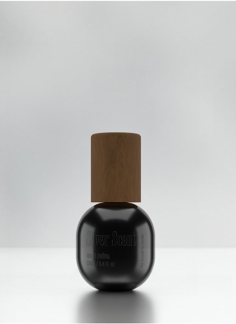 سميل آند سمايل سميل آند سمايل , عطر سلفر سنت 100 مل 
