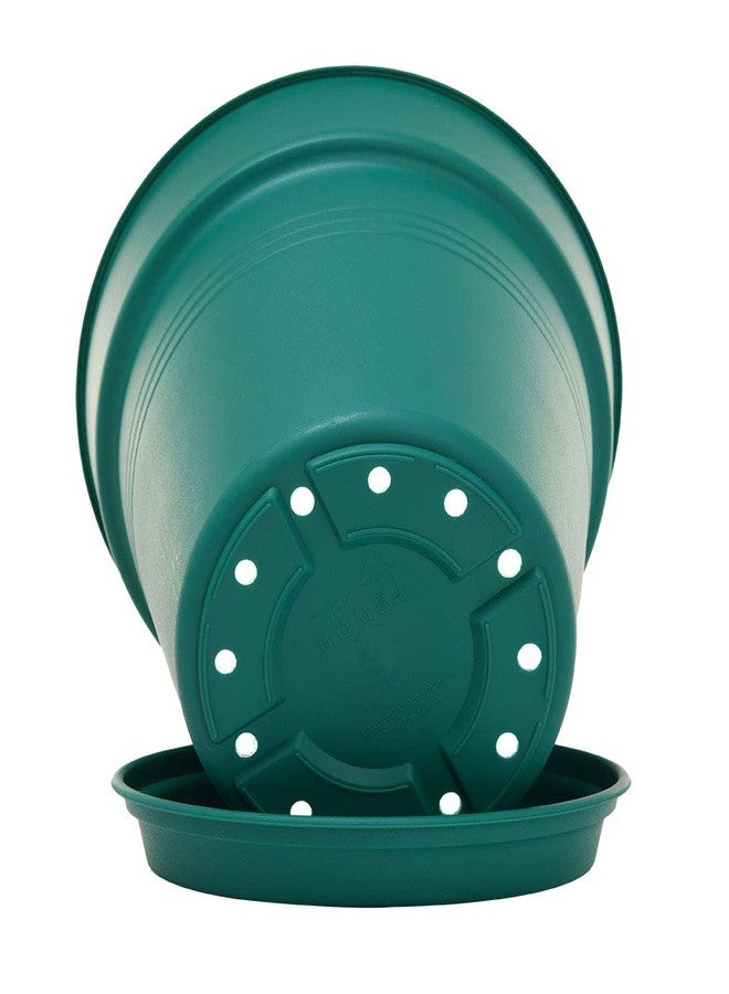 Mintra Home Garden Pots 4pk - Flowers, Herbs, Plants, Indoor, Outdoor, Colorful, Wholesale, Bulk (Forest Green, 11cm Diameter (4.3in)) - Image 4