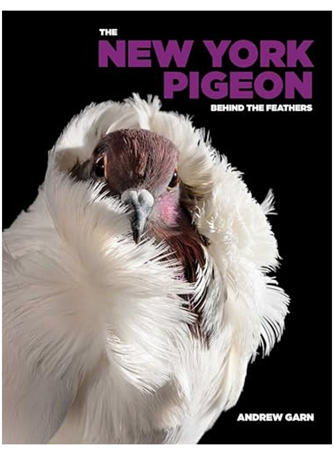 The New York Pigeon 