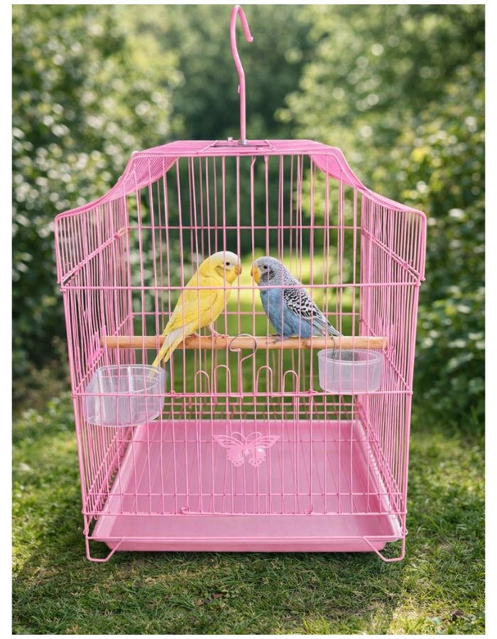 Petto Metal Bird Cage for Small Birds with Perch & Feeding Cups, Hanging Design, 33 × 31 × 46 cm - Image 4