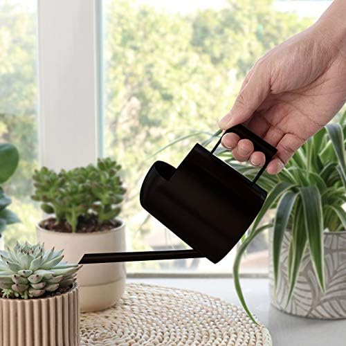 YISSSN Mini Watering Can, 10oz/300ml Stainless Steel Long Spout Small Watering Can for Indoor Plants Succulents, Herbs (Black) - Image 2