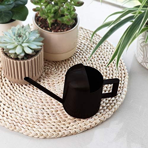 YISSSN Mini Watering Can, 10oz/300ml Stainless Steel Long Spout Small Watering Can for Indoor Plants Succulents, Herbs (Black) - Image 5