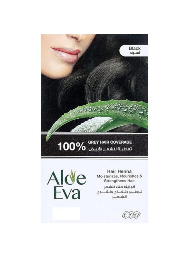 Hair Henna for 100% Grey Coverage, Black, 1 Sachet
