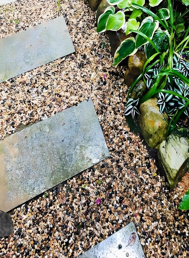 FANTIAN حصى مصقول لأحواض السمك من فانتيان، حصى بحجم 3/8 بوصة للنباتات الداخلية، أحجار زخرفية، صخور نهرية لتغطية تربة النباتات العصارية، الصبار، أحواض السمك، حشو المزهريات، وتنسيق الحدائق الخارجية. - Image 4