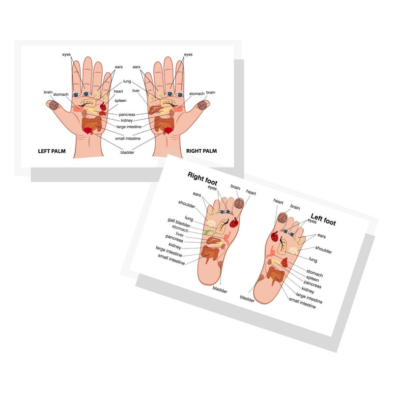 Lashicorn Reflexology Chart for Hand and Foot 50 Pack 2 x 35 inches Business Sized Card Reflexology Massage Acupressure Body Treatment