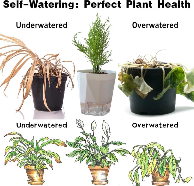 أواني النباتات البلاستيكية ذاتية الري، أواني الزهور البلاستيكية مع فتحة تصريف وصحن، أواني الزراعة الذاتية الري لنباتات الحدائق الداخلية والخارجية، البنفسج الأفريقي، الأعشاب (أبيض، 5 بوصات) - Image 4
