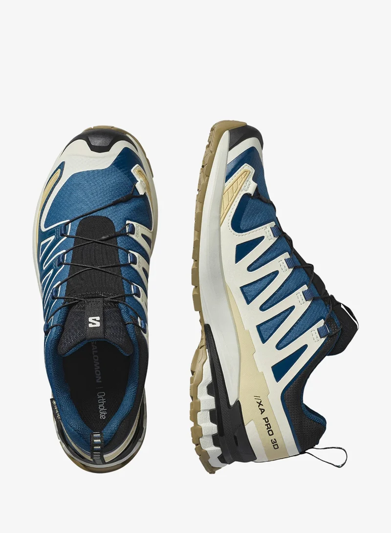 Salomon  XA PRO 3D V9 GORE-TEX Low Top Sneaker for Men | Best Price UAE