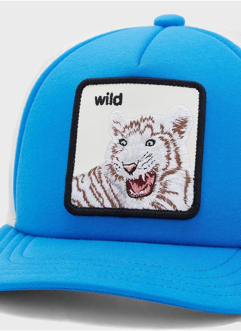 جورين بروس. قبعة Wild Stripes بقمة منحنية