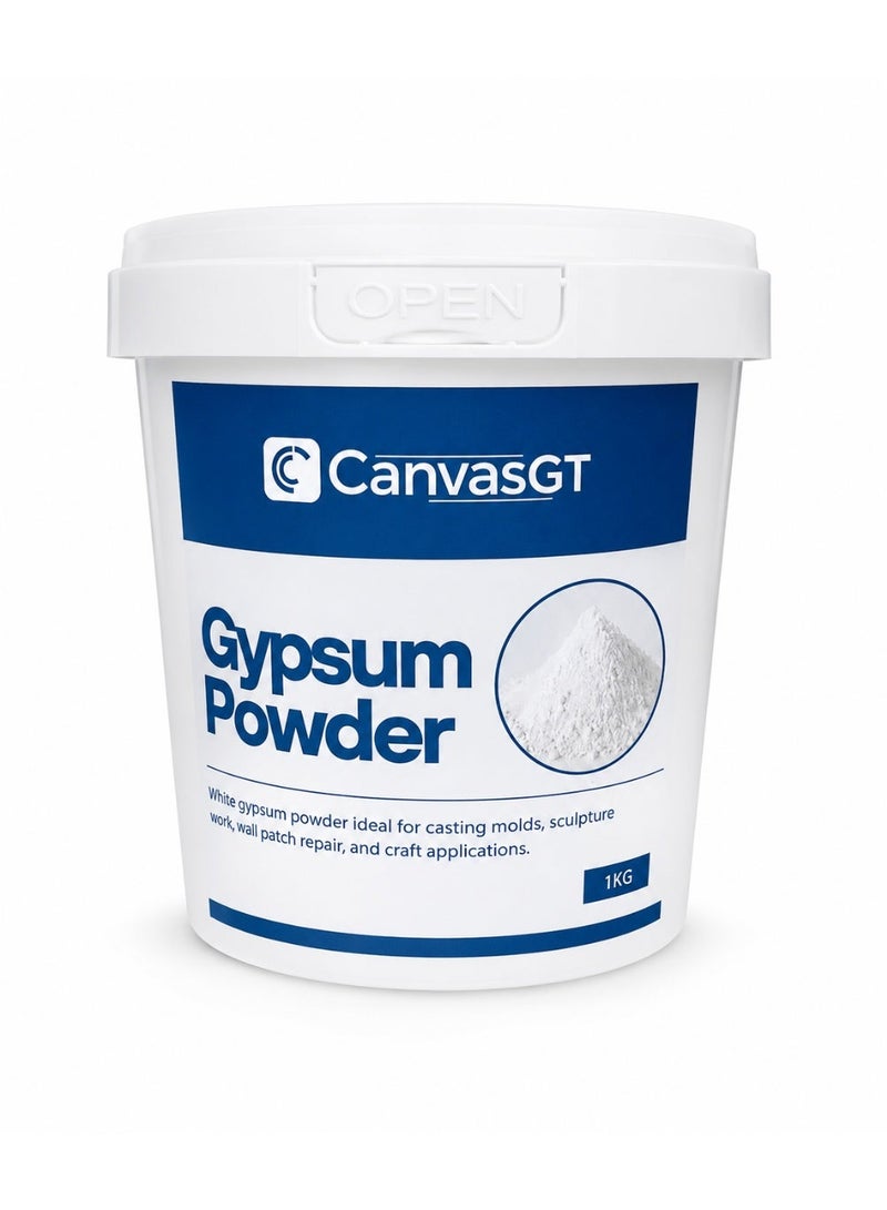 CanvasGT Gypsum Powder for Molds, Casting, Wall Repair & DIY Crafts – Fine White Plaster Powder for Sculpting, Ceiling Crack Filling, Ceramic Art, School Projects & Home Improvement (1kg) - Image 1