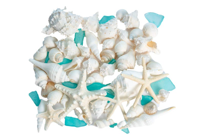 Nautical Crush Trading Sea Shells - White Real Mixed Beach Seashells (1lb) with Starfish & Sea Glass - Shells for Crafts - Ocean Decor - Beach Party Decorations - Seashell Decor - Large Shells Crafts - Image 1