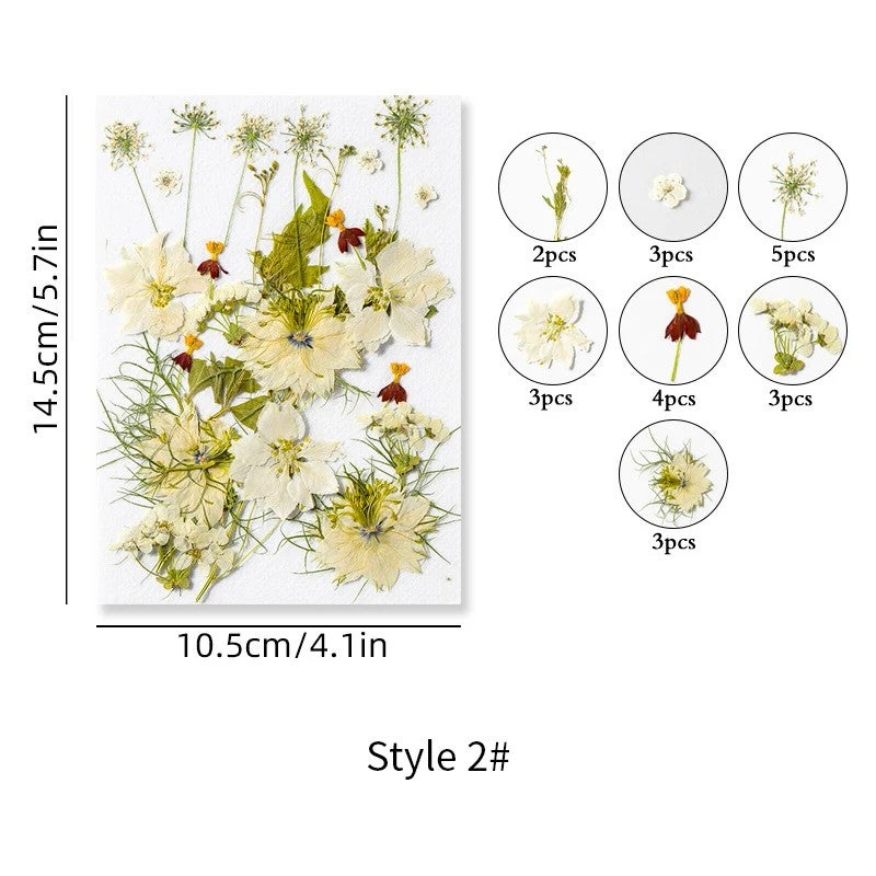 Bluejw INTODIY Dried Flowers Petal Earrings – Natural Red & Purple Dry Flower Fragrance for Nails Art, Table Decoration, and Craft with Real Dried Plants - Image 1