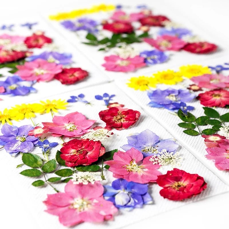 Bluejw INTODIY Dried Flowers Petal Earrings – Natural Red & Purple Dry Flower Fragrance for Nails Art, Table Decoration, and Craft with Real Dried Plants - Image 3