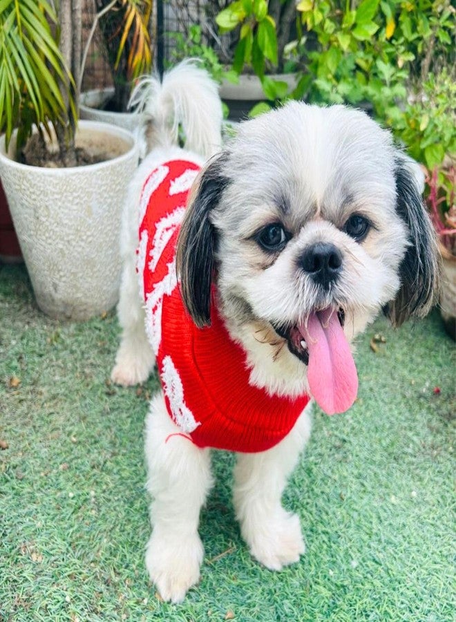 Lulala Turtleneck Dog Sweater - Winter Dog Clothes for Small Dogs, Pet Pullover Jumper with Leash Hole (Red-22 Inch) - Image 4