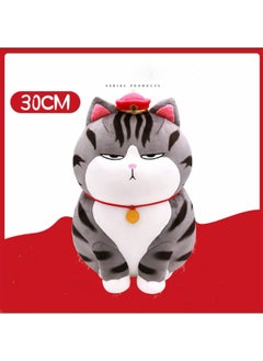 Plush Hugging Toy Cute Cat Plushies Stuffed Animal Doll Gift for Boy Girl 30cm - pzsku/ZF8C6F6F82019DE390BB6Z/45/_/1659964709/0aea235f-7b37-4a78-bc18-9cc107f34b16